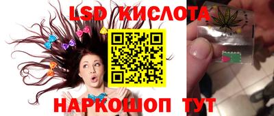 гашик Кинель