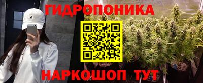 гашик Кинель