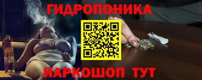 метадон Кингисепп