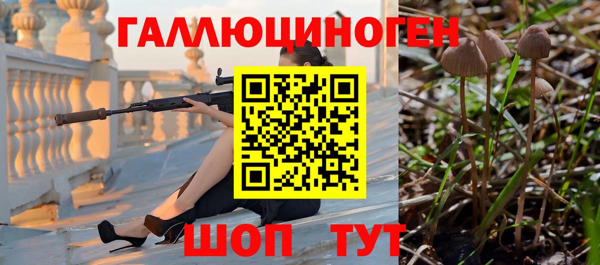 Галлюциногенные грибы MAGIC MUSHROOMS  Вход с VPN  Галлюциногенные грибы мицелий  Кузнецк 